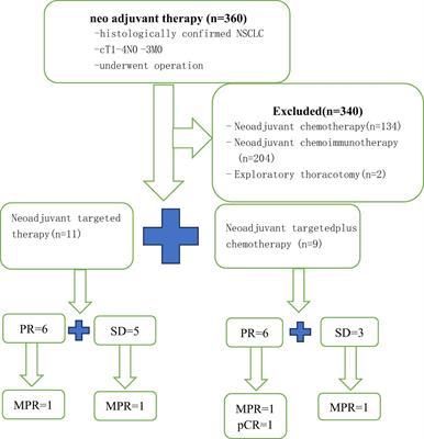Neoadjuvant targeted therapy versus targeted combined with chemotherapy for resectable EGFR-mutant non–small cell lung cancer: a retrospective controlled real-world study